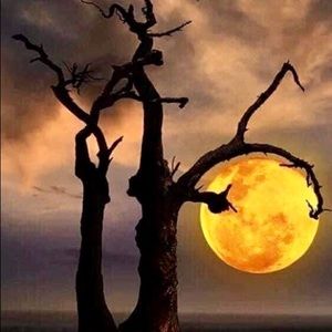 Meet your Posher, Nelcida